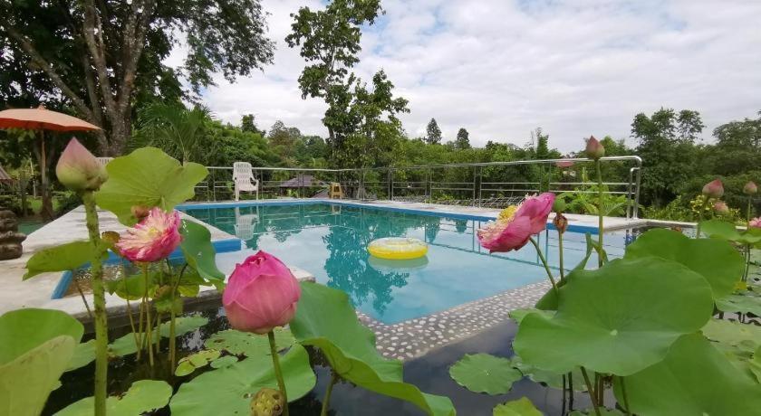 Ban Rai Tin Thai Ngarm Eco Lodge Mae Rim Bagian luar foto